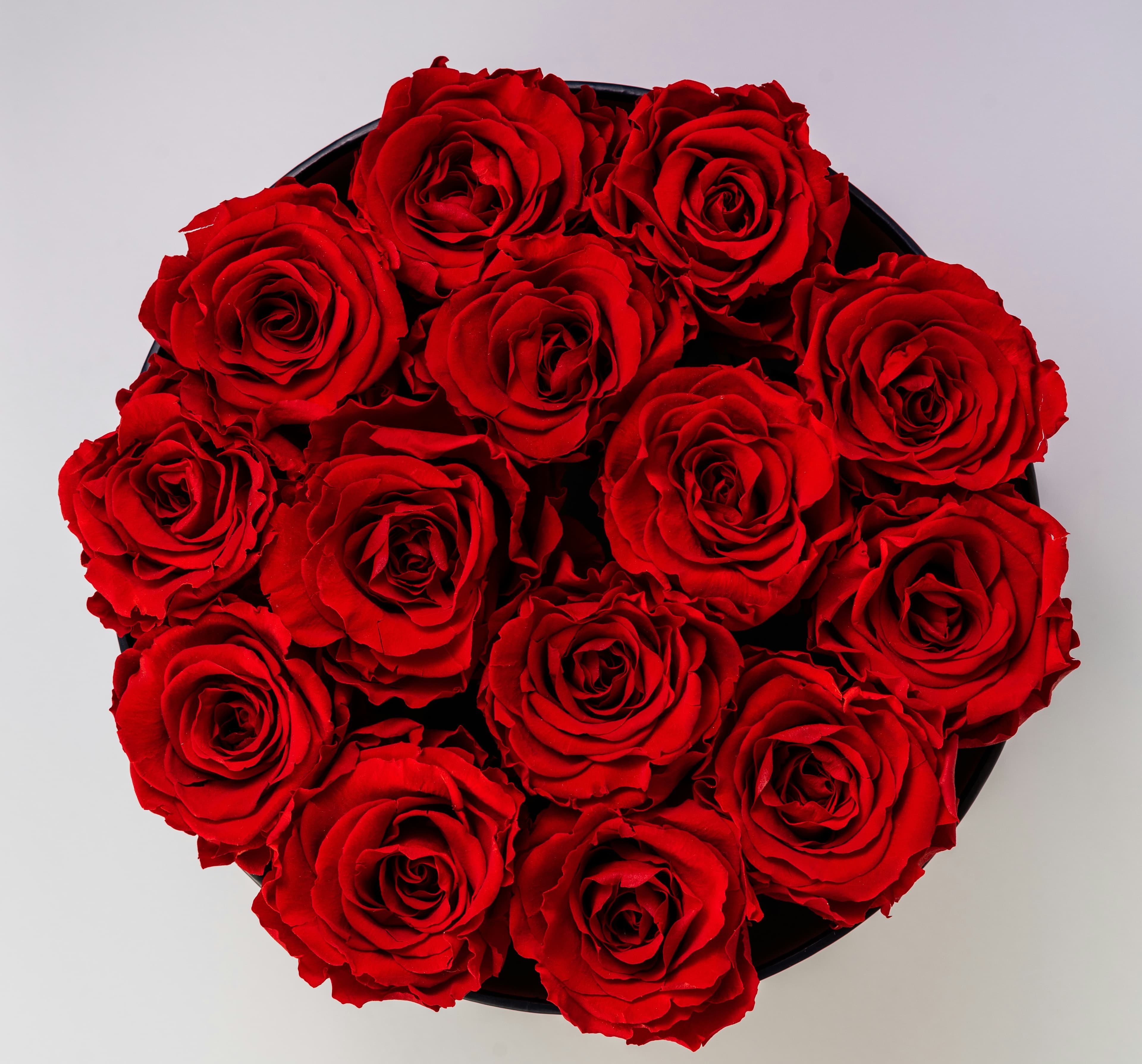 Fresh red rose bouquet — Zodi Atelier