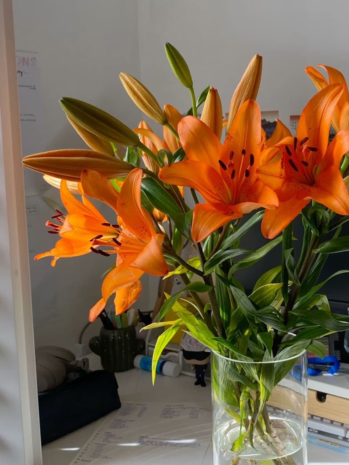 Orange Lilies