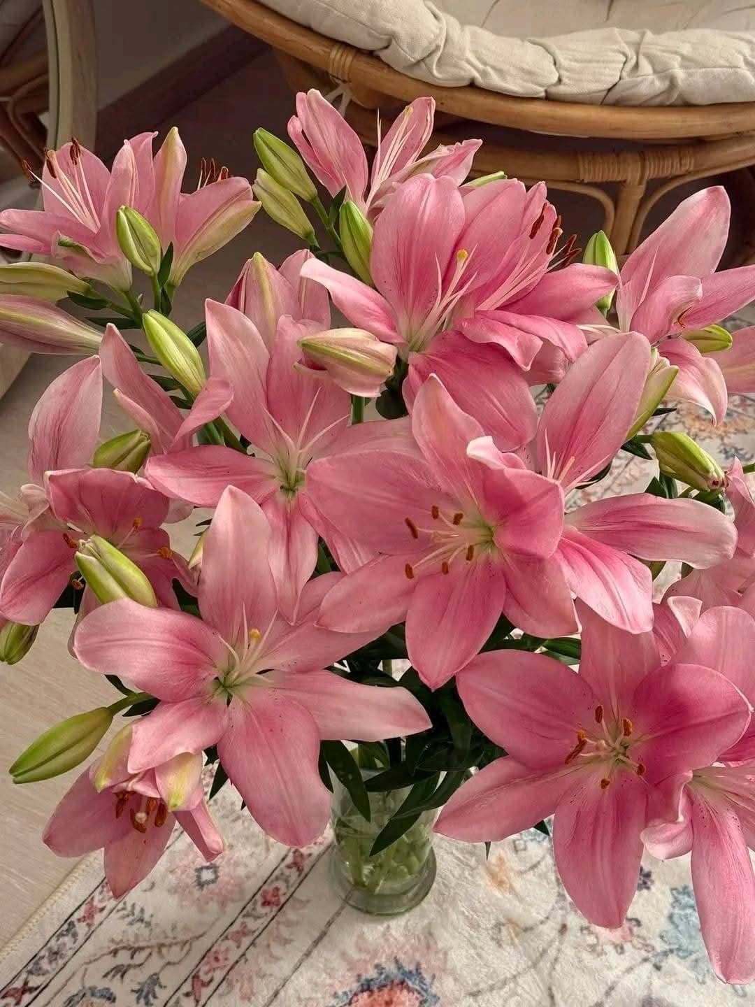 Pink Lilies