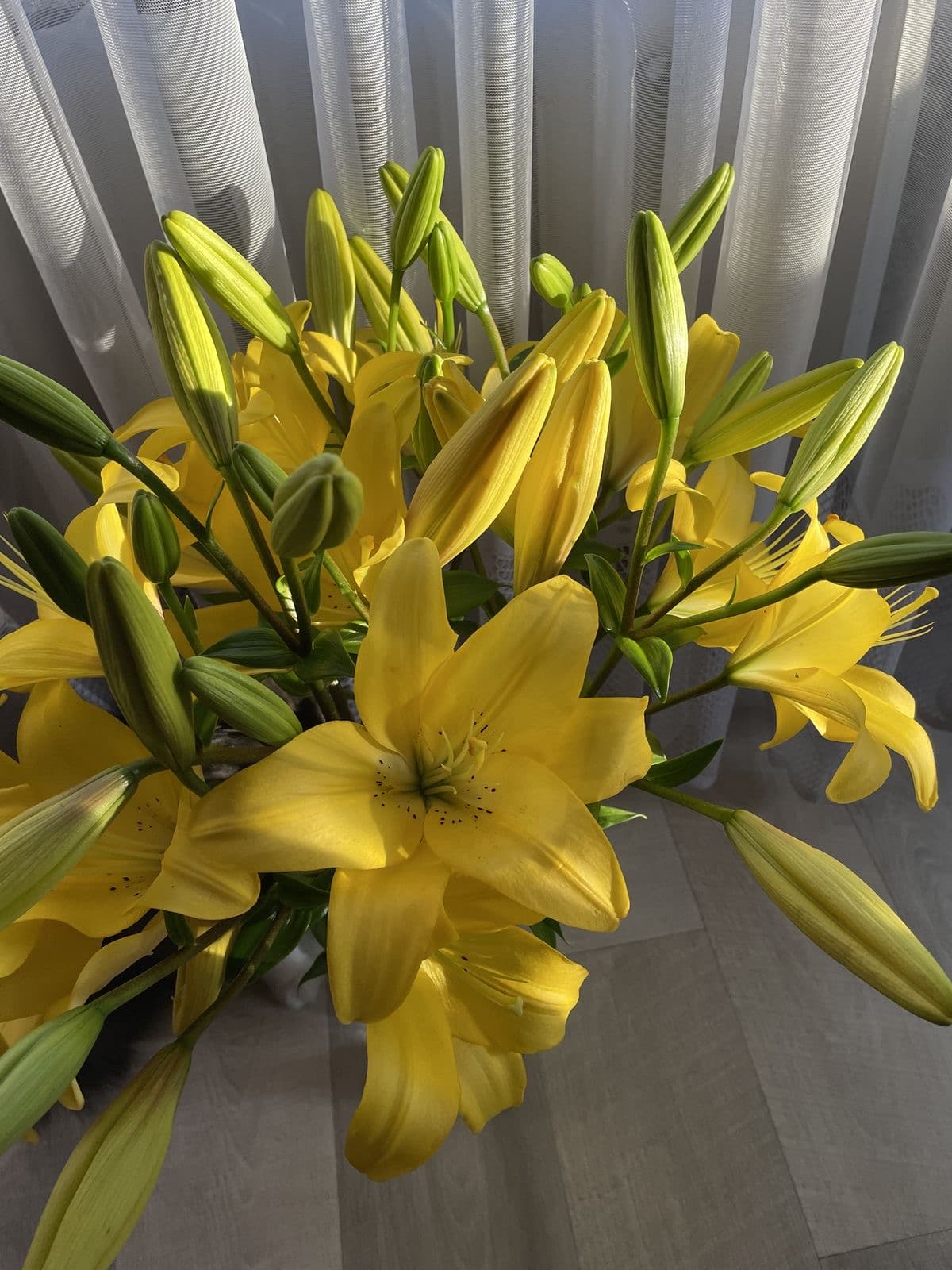 Yellow Lilies