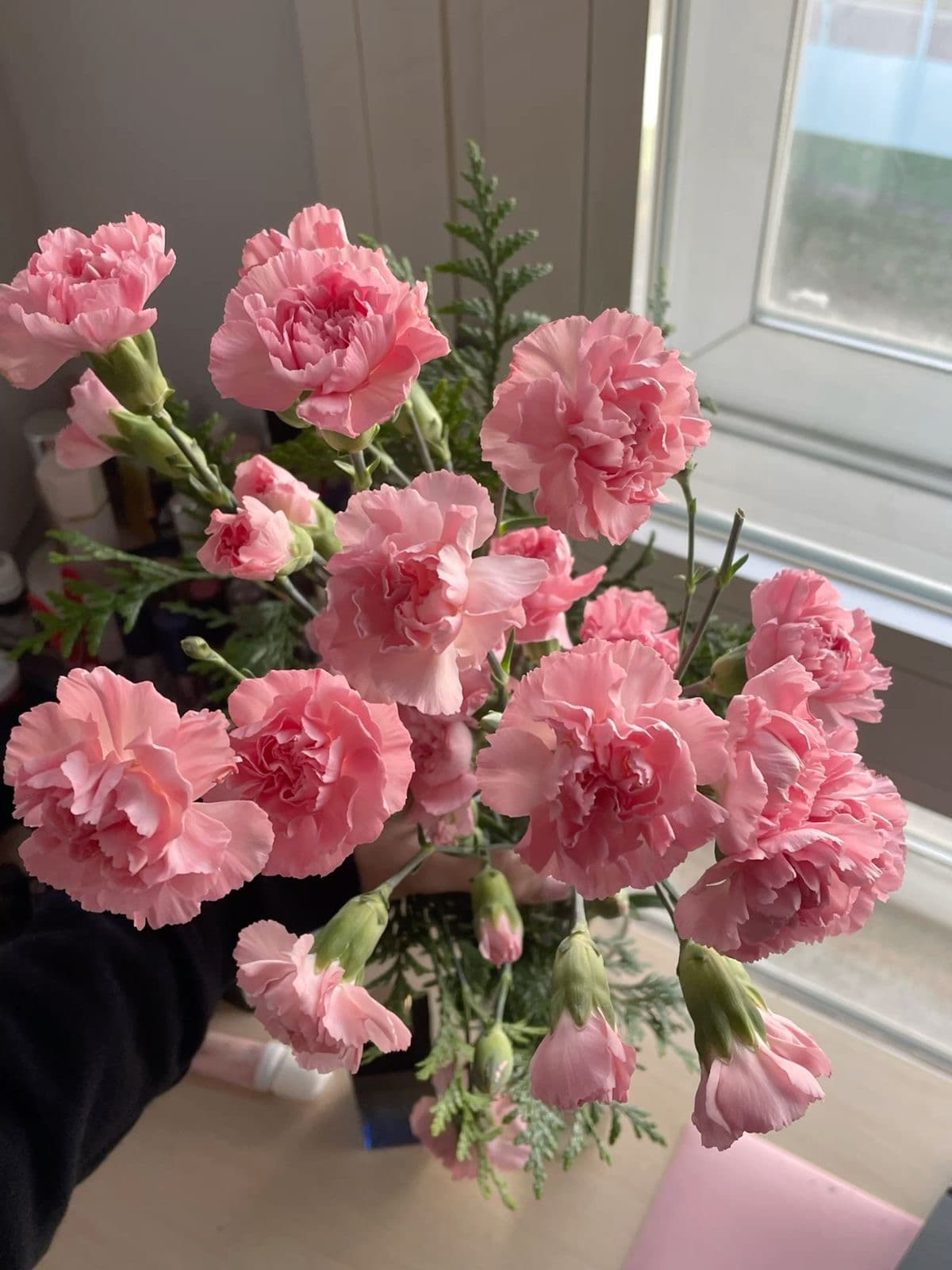 Light Pink Carnations