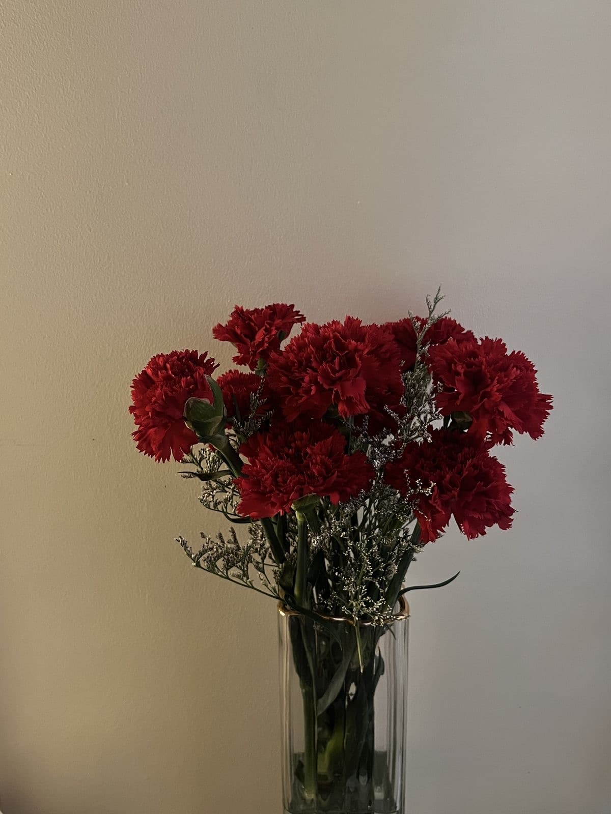Maroon Carnations