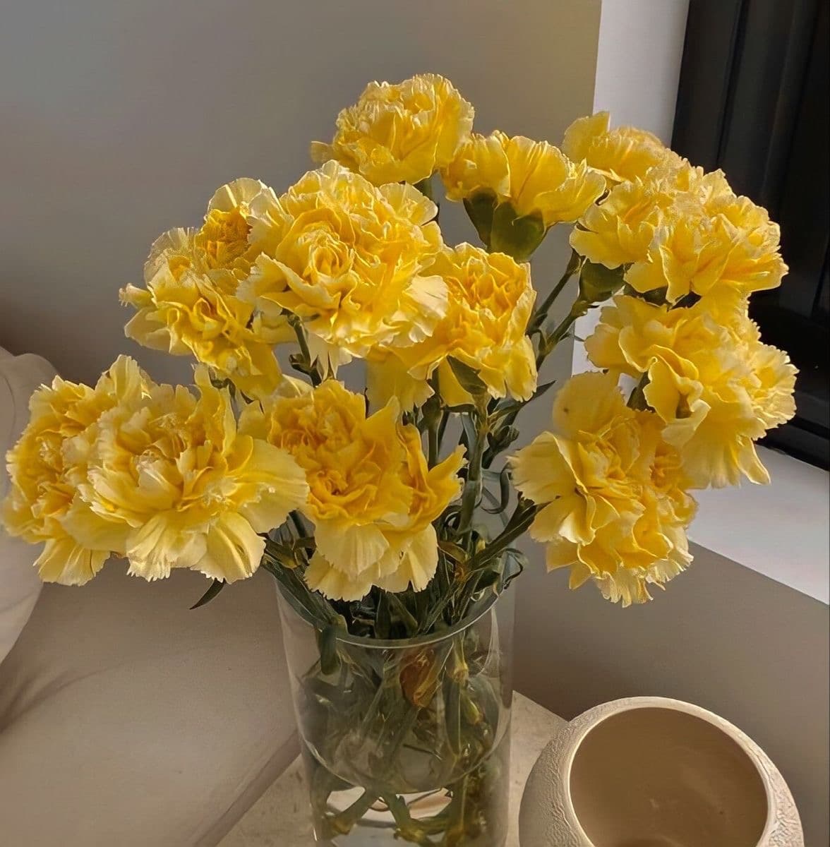 Yellow Carnations
