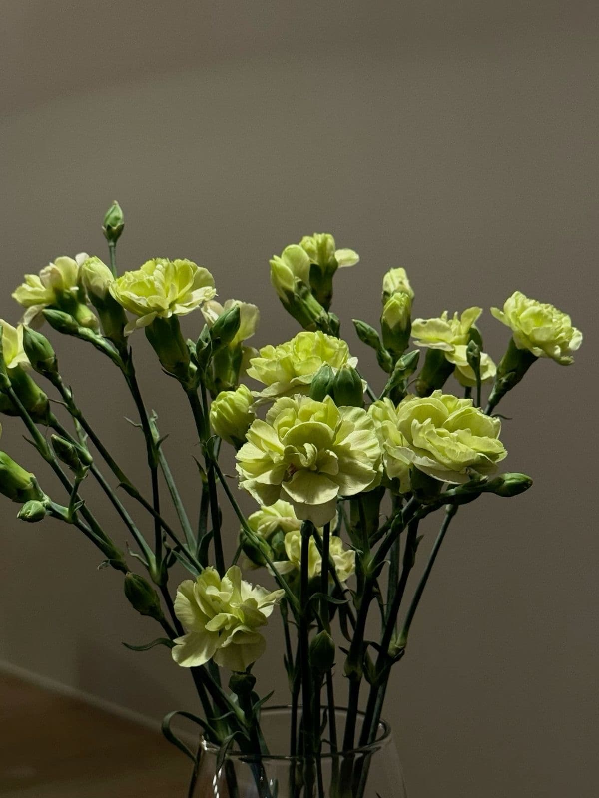 Green Carnations