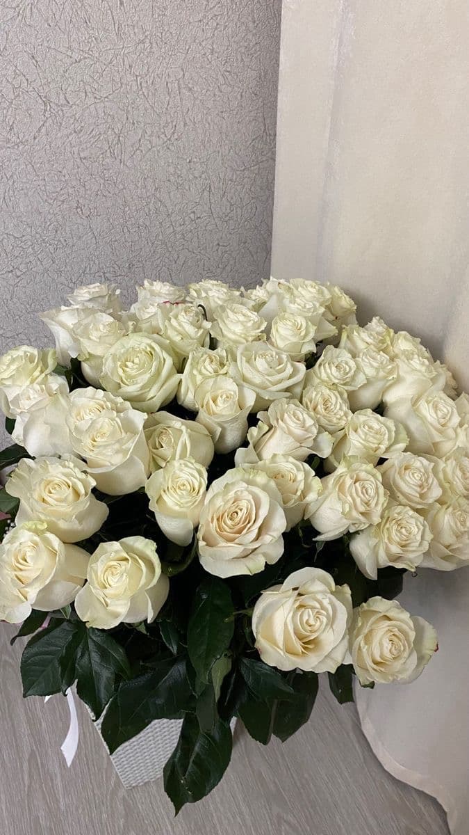White Roses