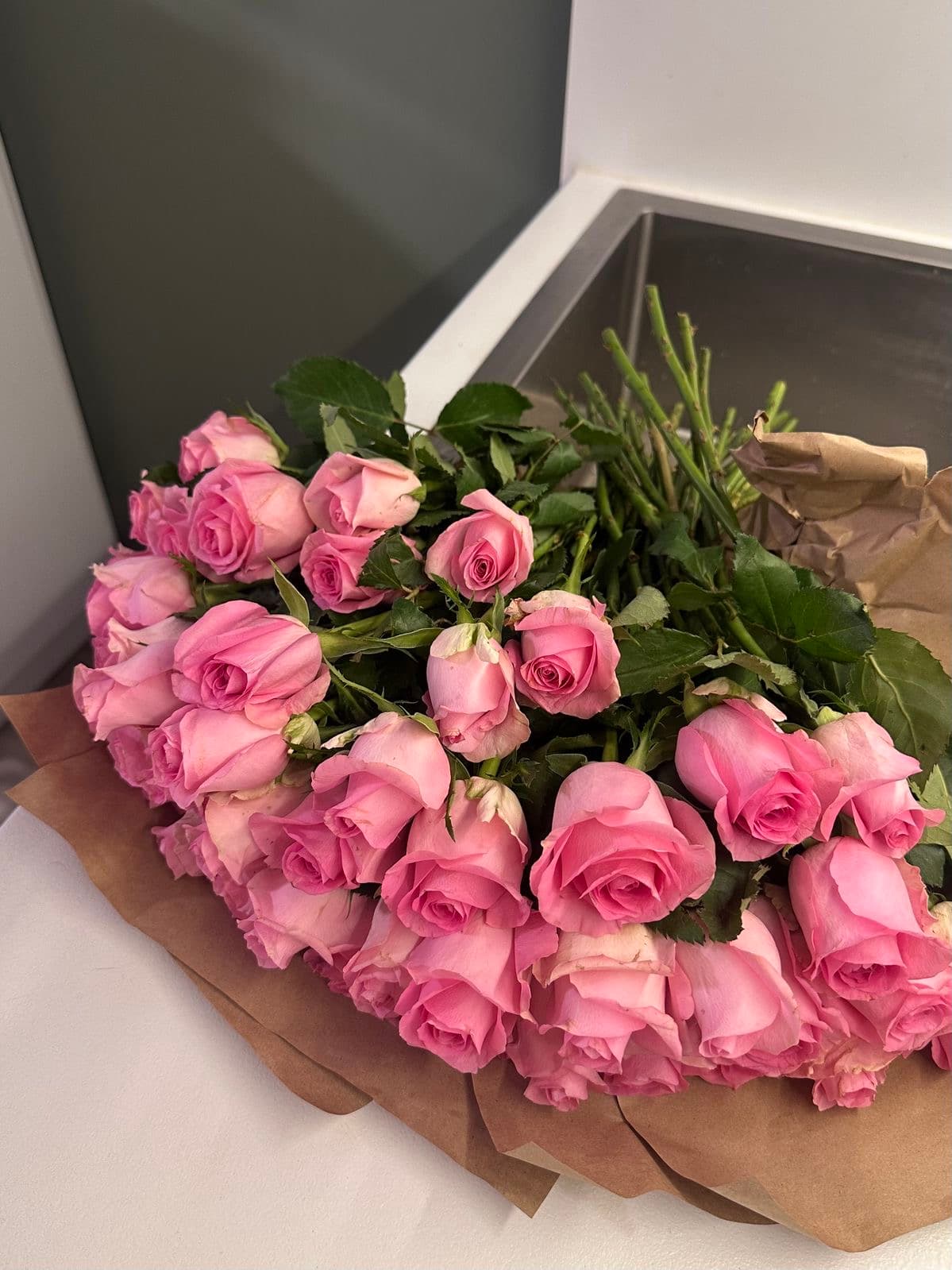 Light Pink Roses