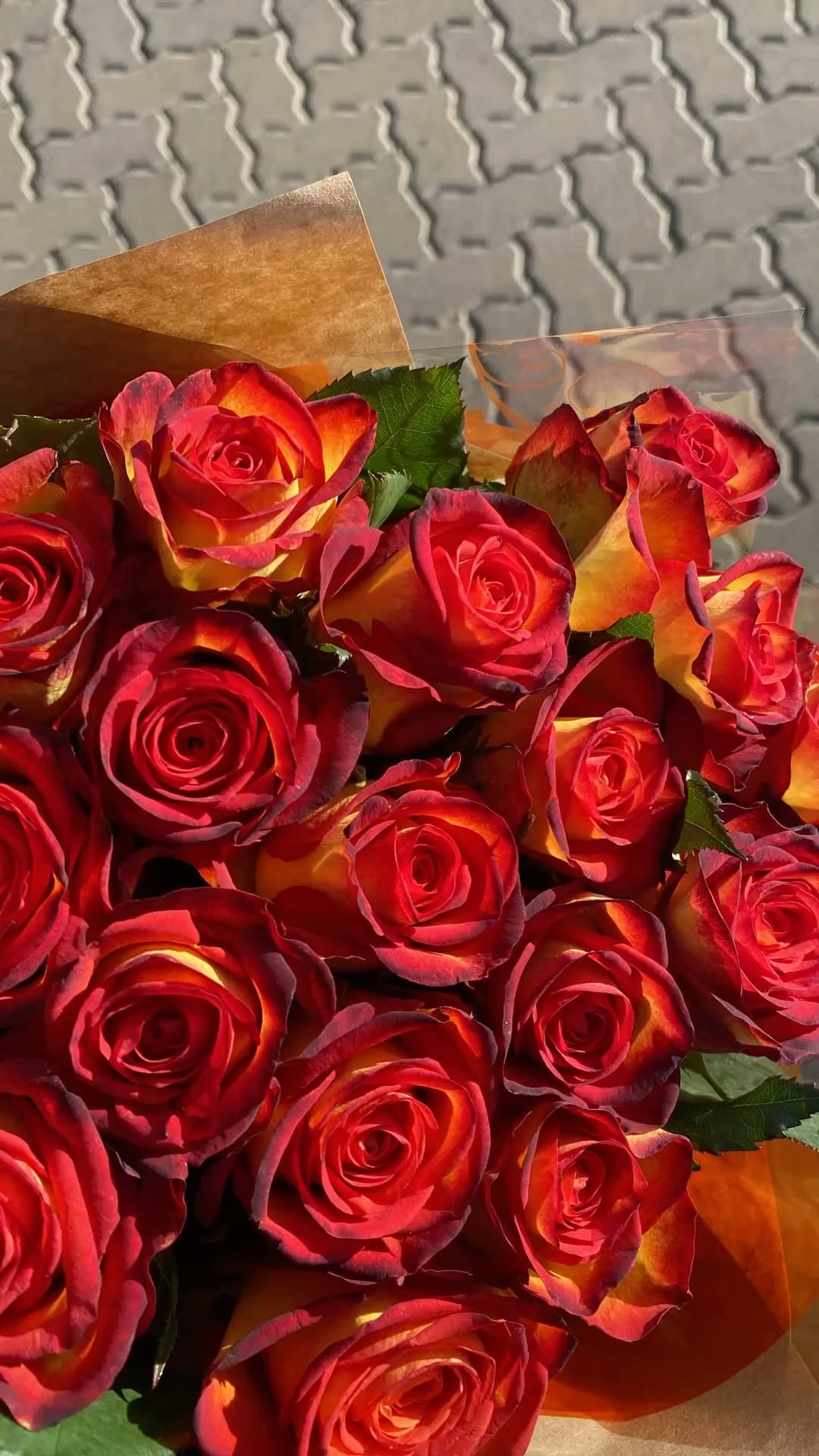 Fire Roses