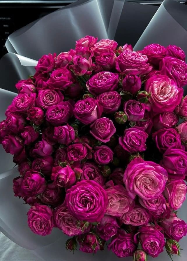 Pink Purple Roses